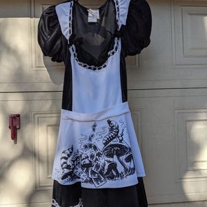 Plus size Mad Alice Costume